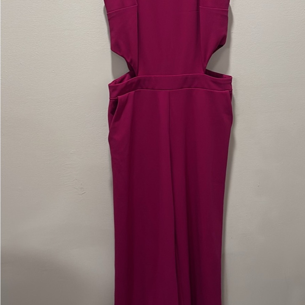 Express Sleeveless Magenta Jumpsuit
